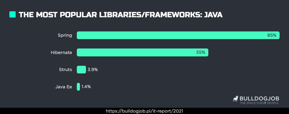 Report on polish programmers - find out about earnings and