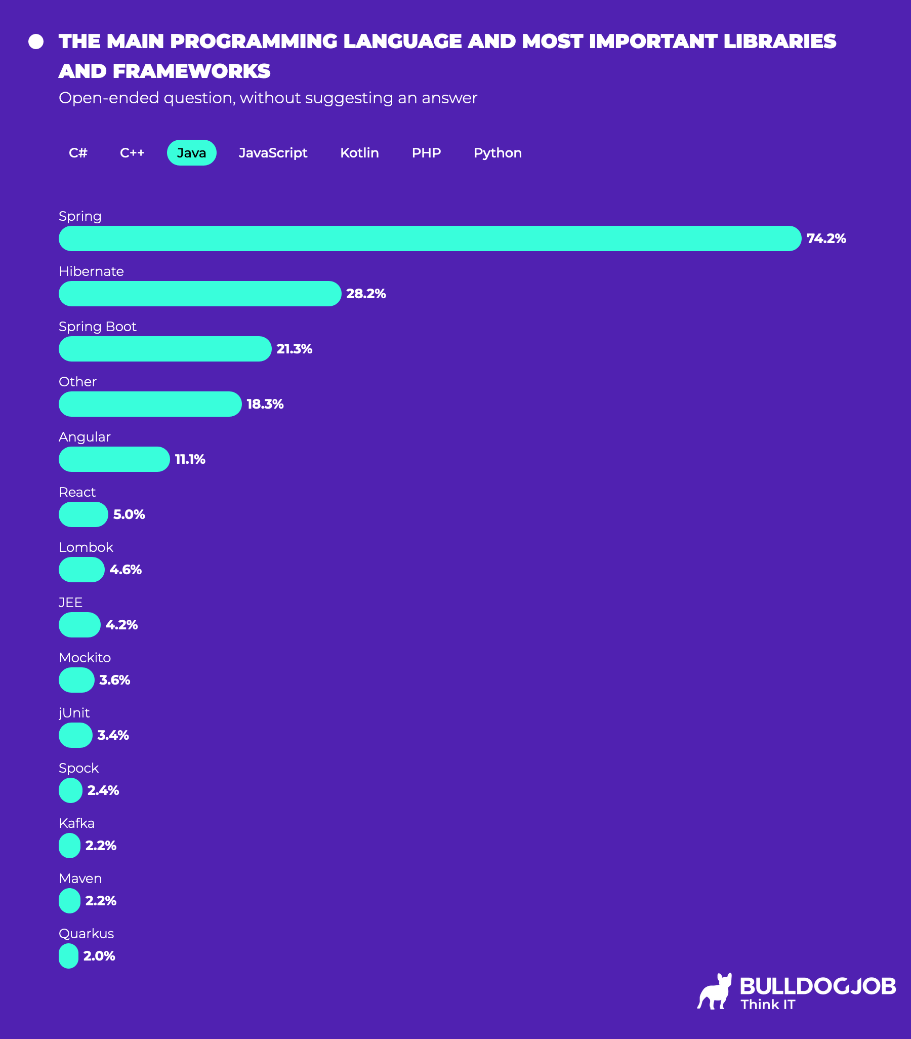 Software Developers - Polish IT Community Report 2024
