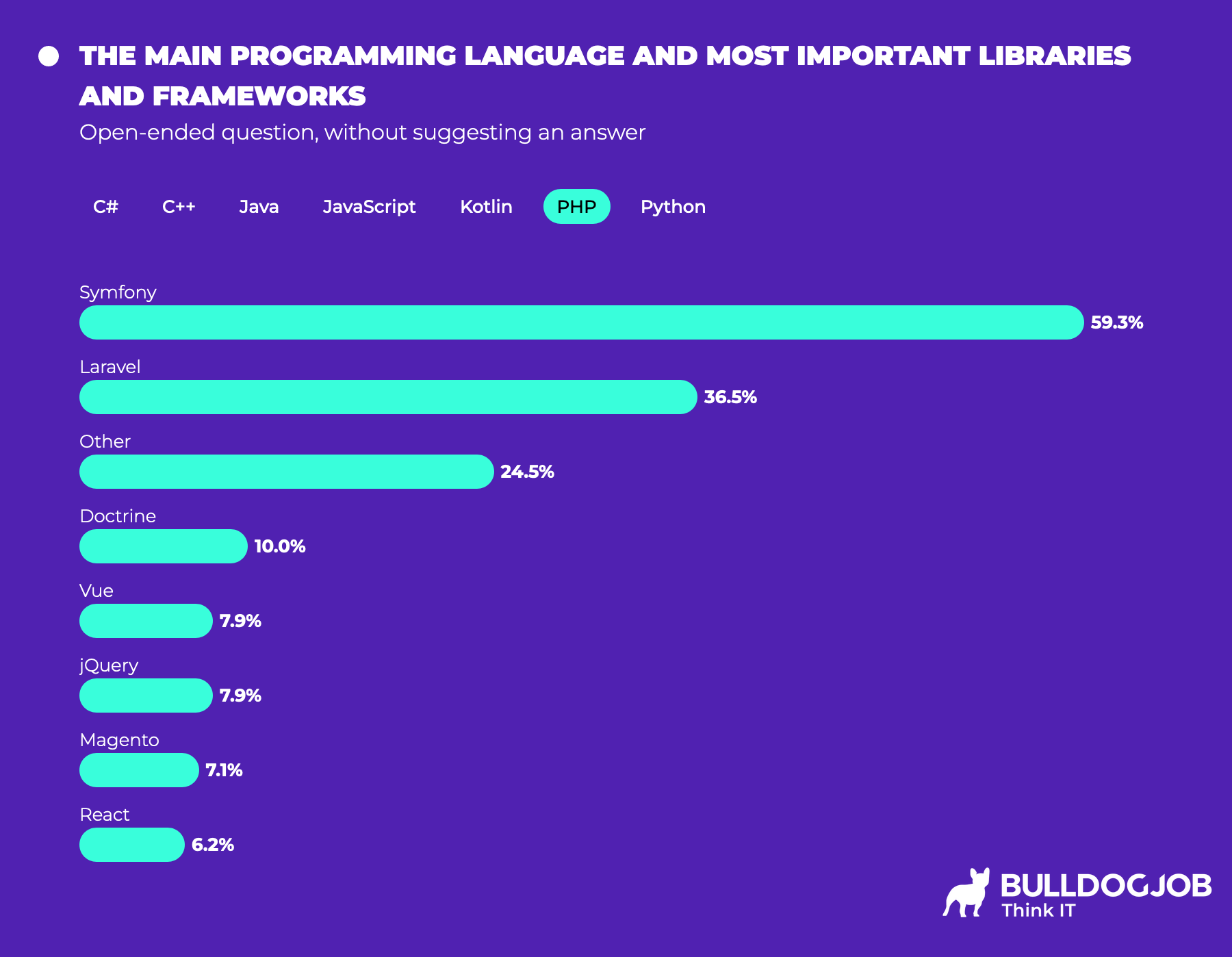 Software Developers - Polish IT Community Report 2024