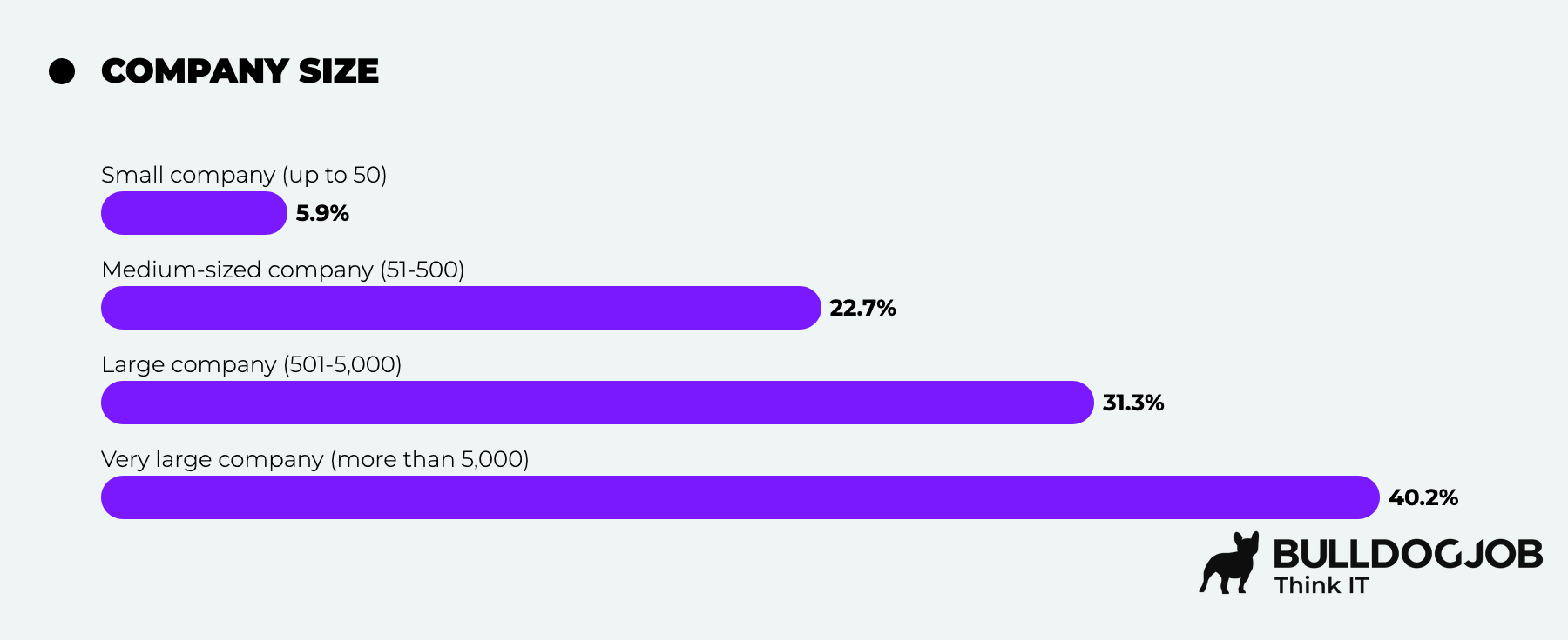 IT Analysts - IT Community Survey Report 2025