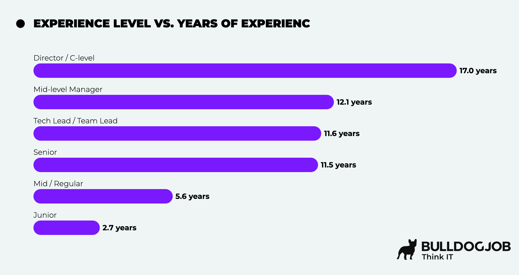 Experience Level Examples IT Managers - IT Community Survey Report 2025
