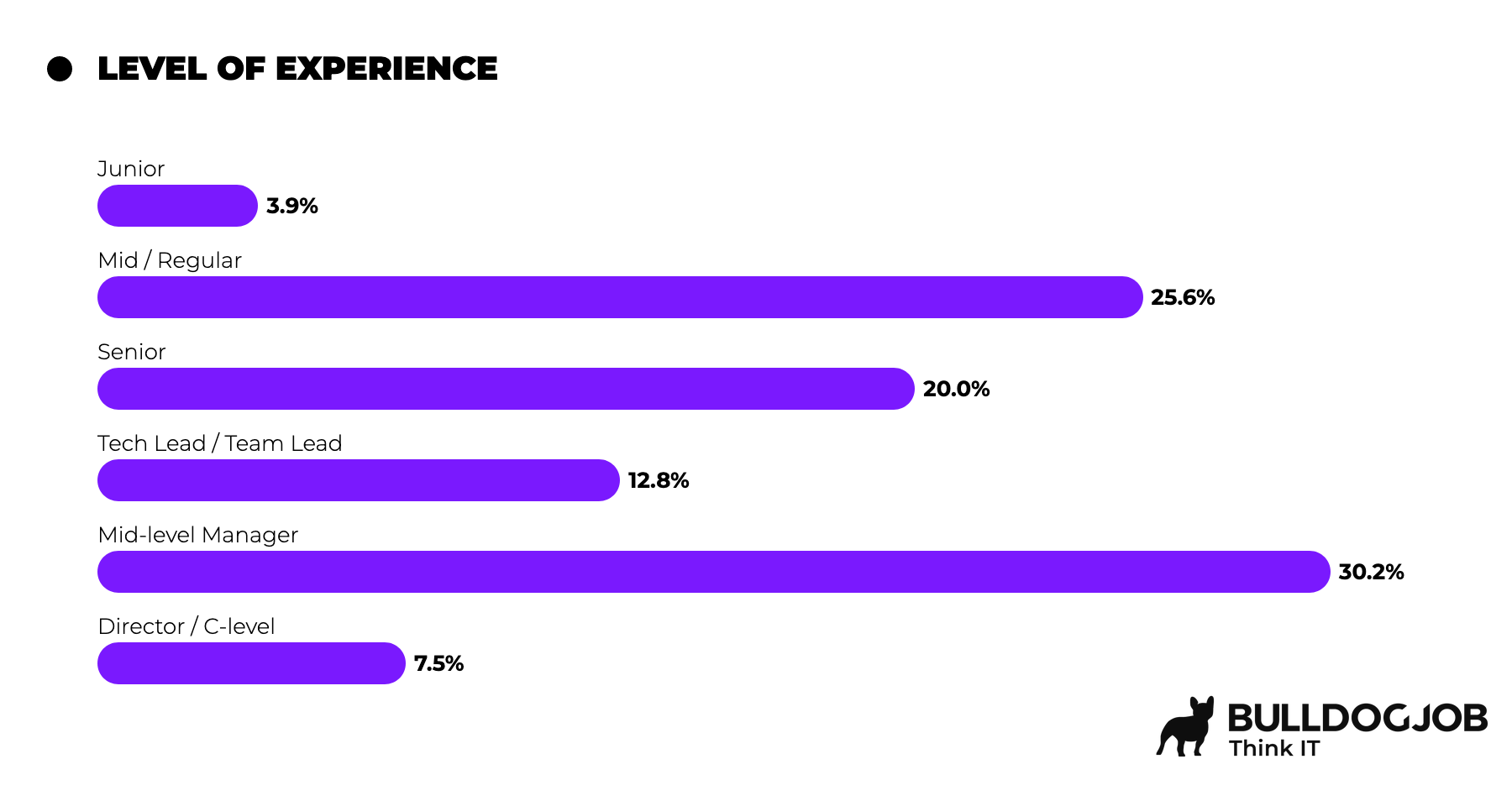 IT Managers - IT Community Survey Report 2025