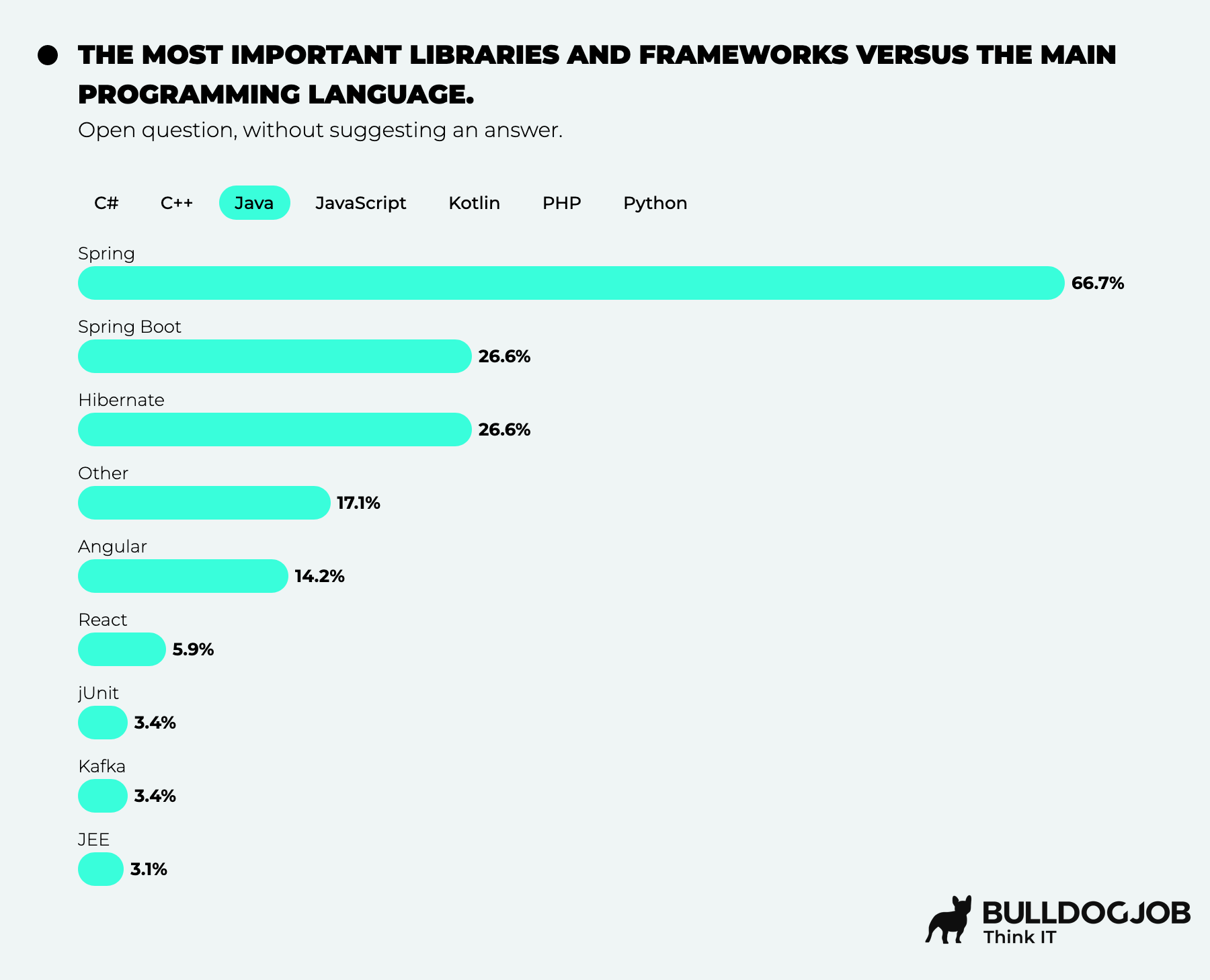 Developers - IT Community Survey Report 2025