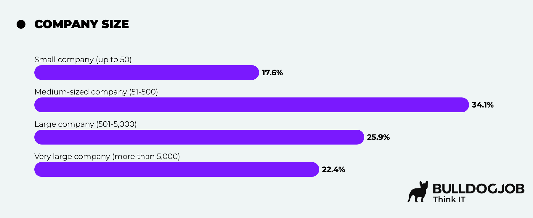 UX / UI - IT Community Survey Report 2025